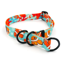 Half-choke collar Blue Lagoon Psiakrew, 2.5 cm wide, medium and big dogs, black extras