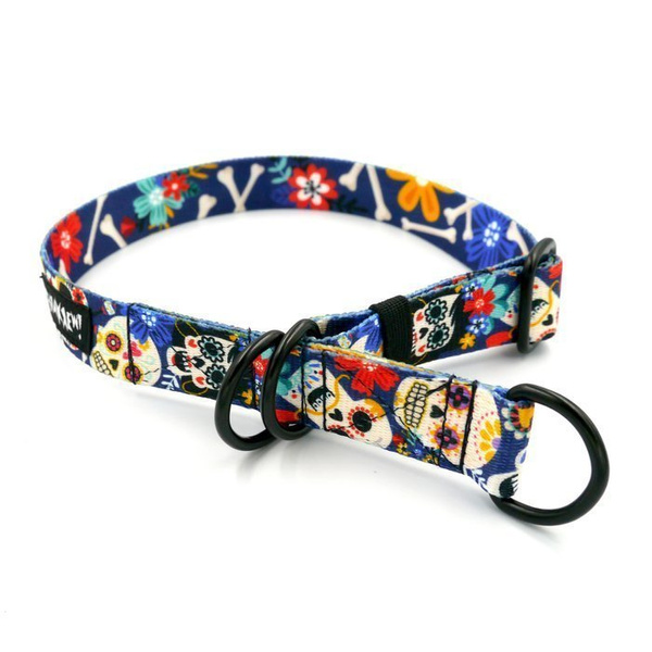 Half-choke collar Día de los Muertos, 2.5 cm wide, medium and big dogs, black extras