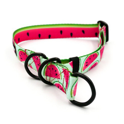 Half-choke collar Watermelon, 2.5 cm wide, medium and big dogs, black extras