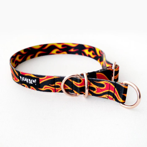 Half-choke collar Dog On Fire, 2.5 cm wide, medium and big dogs, rose gold