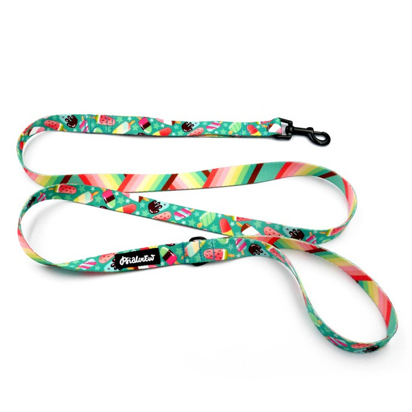 Walking leash for Dog Ice Ice Baby Psiakrew, width 2 cm, black snap hook 6 cm