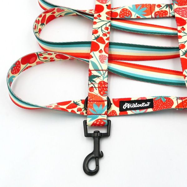 Dog Leash Fruit Jelly Psiakrew width 2.5 cm, 1" wide, snap hook black 6cm