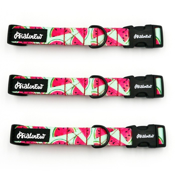 Verstellbares Hundehalsband Watermelon Psiakrew, Breite 2 cm, kleiner Hund, schwarze Beschläge