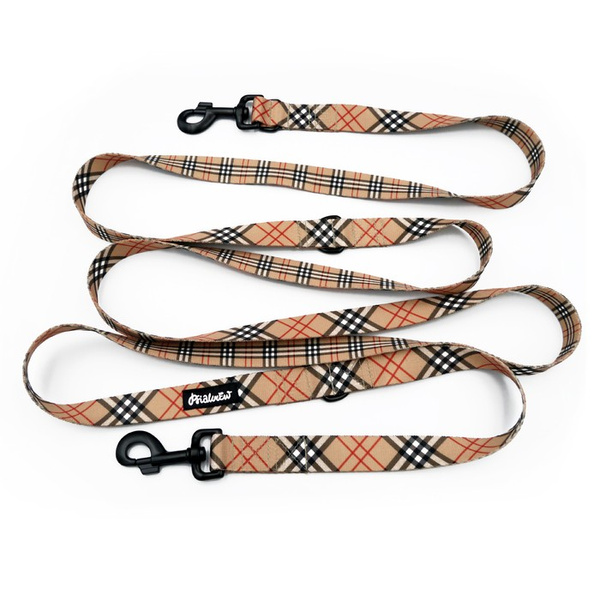 Lange abnehmbare Hundeleine Dogberry Psiakrew, Band 2,5 cm, Karabiner 8 cm, schwarz