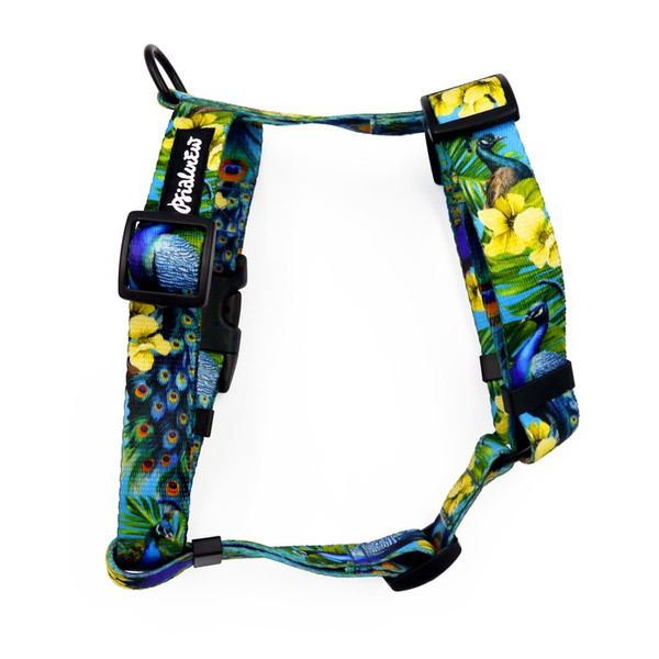 Szelki dla Psa Guard Pawie Oczko Psiakrew, taśma 2,5 cm, okucia czarne