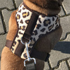 Dog Harness, Tarzan panthera pattern, Always Feeling Cool, Super Soft Psiakrew 