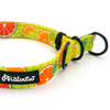 Half-choke collar Lemonade Psiakrew, 2.5 cm wide, medium and big dogs, black extras