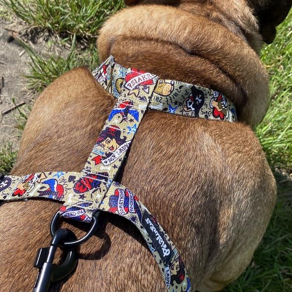 Harness for Dog, Model Dog Tattoo Flash Guard Harness, black extras
