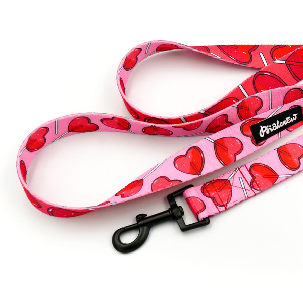 Dog Leash Lollipops Psiakrew width 2.5 cm, 1" wide, black snap hook 6 cm