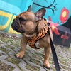 Dog Harness Tiger, Animal print, Always Feeling Cool, Super Soft Psiakrew 
