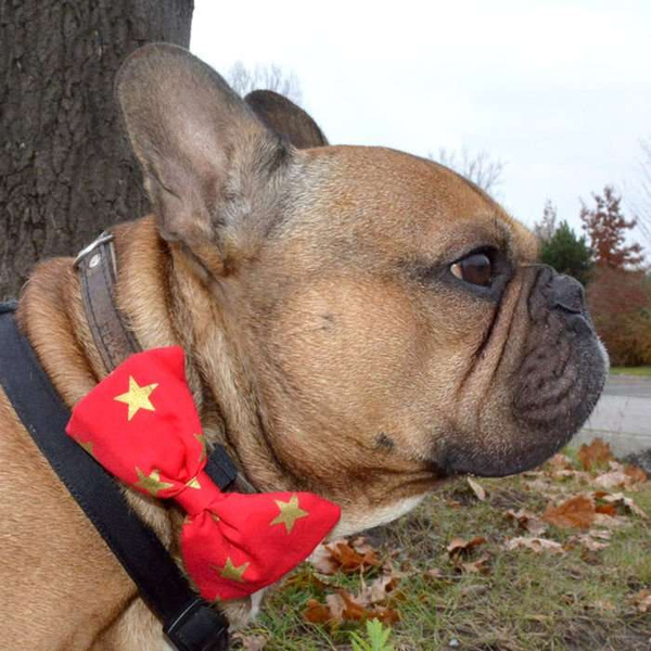 Dog Bow Tie, gift for dog, Pet Bow Tie, Bowtie, Collar Attachment, model Gwiazdor