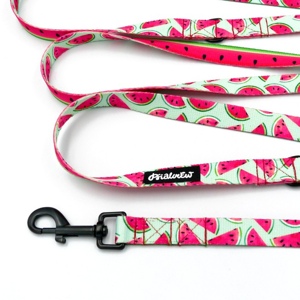 Dog Leash Watermelon width 2 cm wide, black snap hook 7 cm