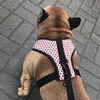 Dog Harness Dotty Dots, Always Feeling Cool, Super Soft Psiakrew 