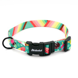 Dog Collar Ice Ice Baby Psiakrew, 2 cm 0.78"  wide, for smaller dogs black extras