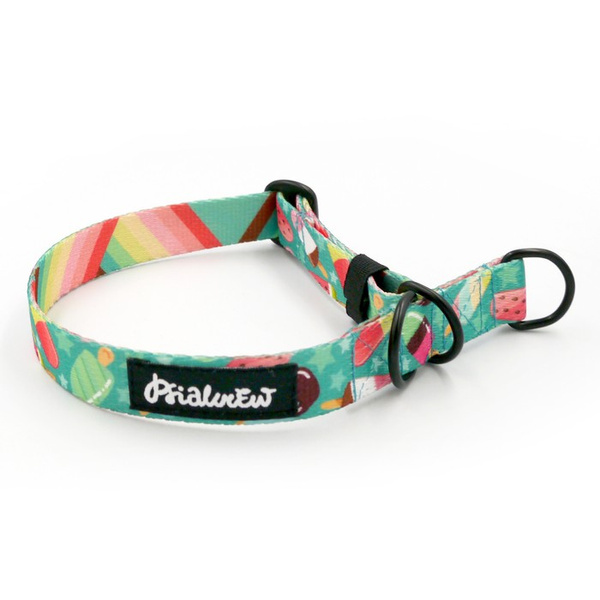 Obroża półzaciskowa Ice Ice Baby szeroka na 2 cm, dla małych psów, czarne dodatki