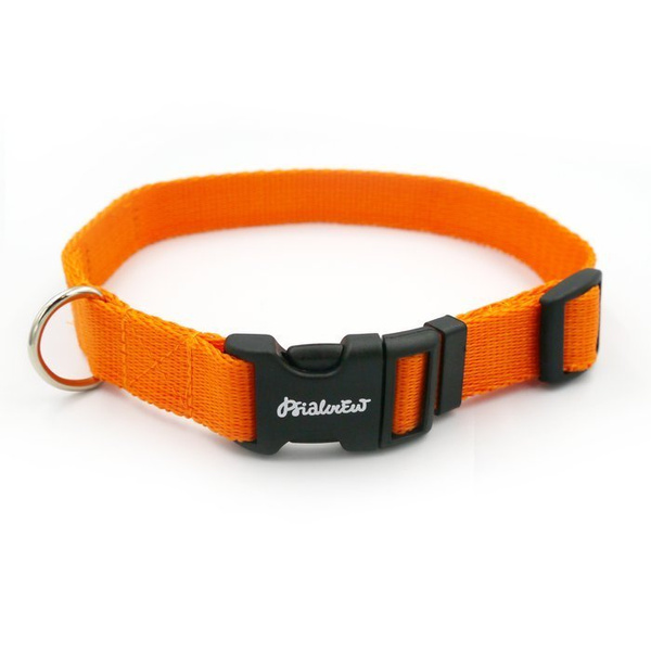 Orange Collar for dog Psiakrew, 2 cm 0.78"  wide, for smaller dogs, nickel extras