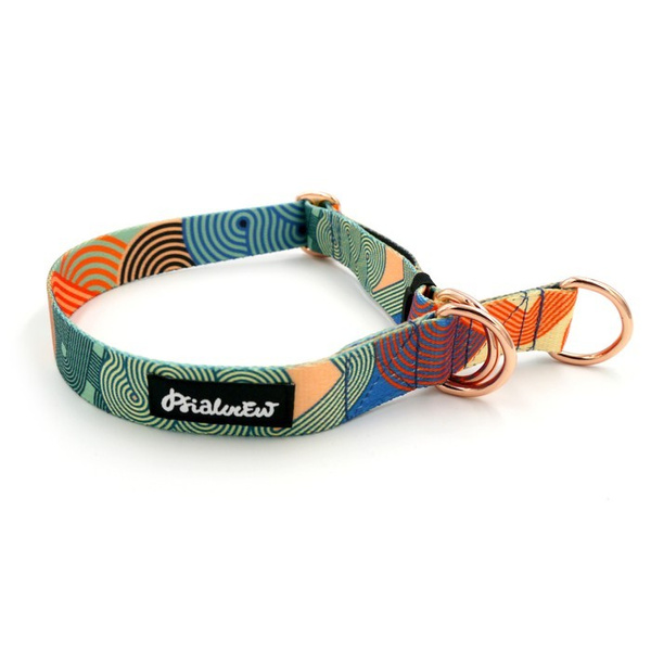 Halb-Klemmhalsband- Geo Snake, 2,5 cm breit, für mittelgroße und größere Hunde, Golden-Beschläge, Psiakrew