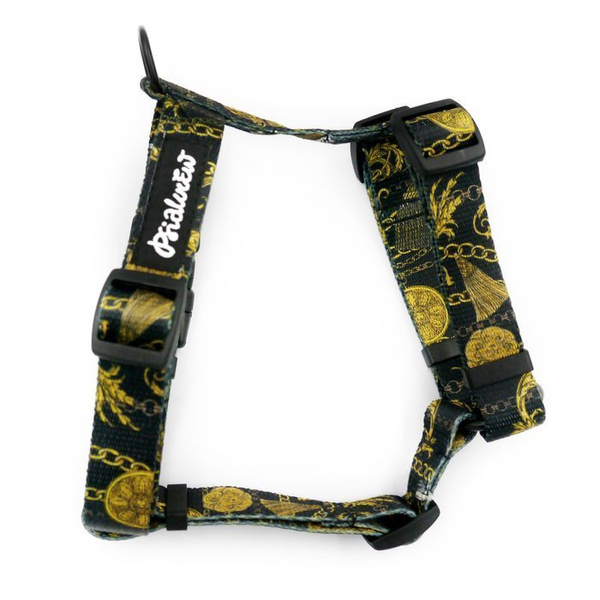 Małe Szelki dla Psa Guard, Donatella, dla mniejszych psów, taśma 2 cm, czarne okucia