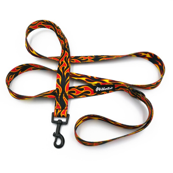 Hundeleine Dog On Fire Breite 2,5 cm, 1" breit, schwarzer Karabinerhaken 6 cm