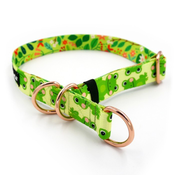 Halb-Klemmhalsband- Green Frogs, 2,5 cm, für mittelgroße und größere Hunde, Golden-Beschläge, Psiakrew