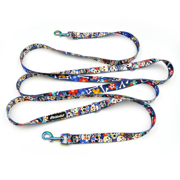 Smycz Dla Psa Długa Przepinana Regulowana Dia de los Muertos Psiakrew 2 cm karabińczyk 6cm holo