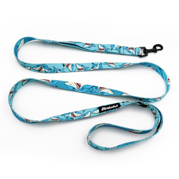 Laufleine für Hund Shark Psiakrew, Breite 2 cm, schwarzer Karabinerhaken 6 cm