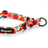 Half-choke collar Fruit Jelly Psiakrew, 2.5 cm wide, medium and big dogs, black extras