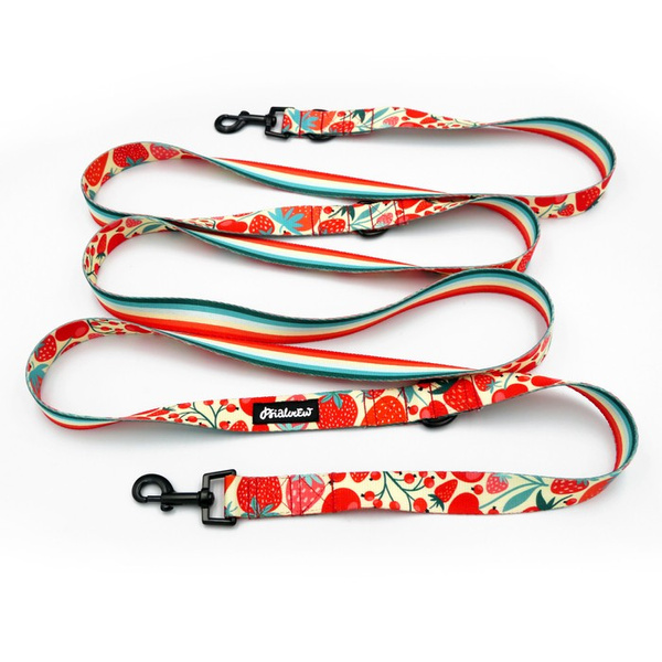 Dog Leash Fruit Jelly Psiakrew width 2.5 cm, 1" wide, snap hook black 6cm