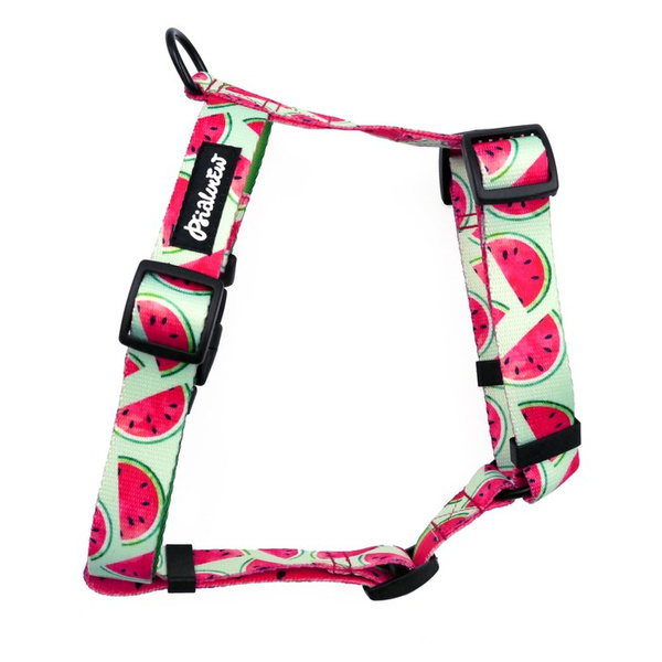 Harness for Dog, Model Watermelon Guard Harness, for medium dogs, black extras
