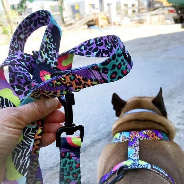 Harness for Dog Crazy Leopard Guard Harness, black extras