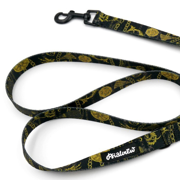 Smycz spacerowa miejska dla Psa Donatella Psiakrew szerokość 2 cm czarny karabińczyk 6 cm