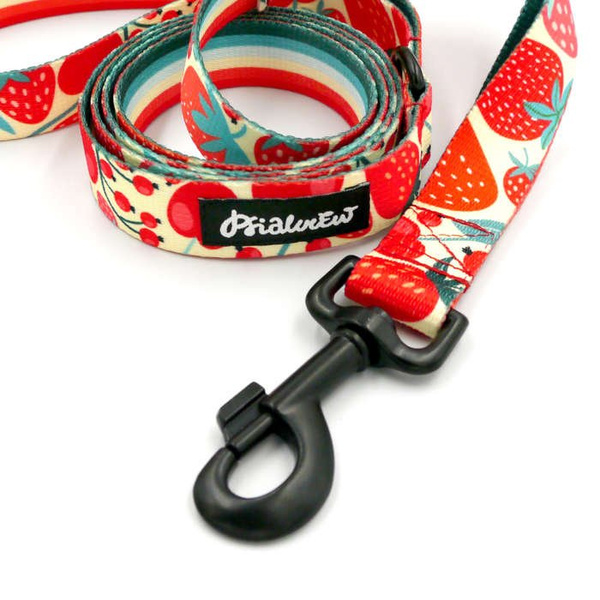 Dog Leash Fruit Jelly width 2.5 cm, 1" wide, snap hook glossy nickel 7cm