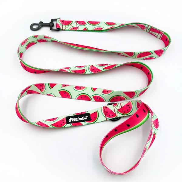 Dog Leash Watermelon Psiakrew width 2.5 cm, 1" wide, black snap hook 6 cm