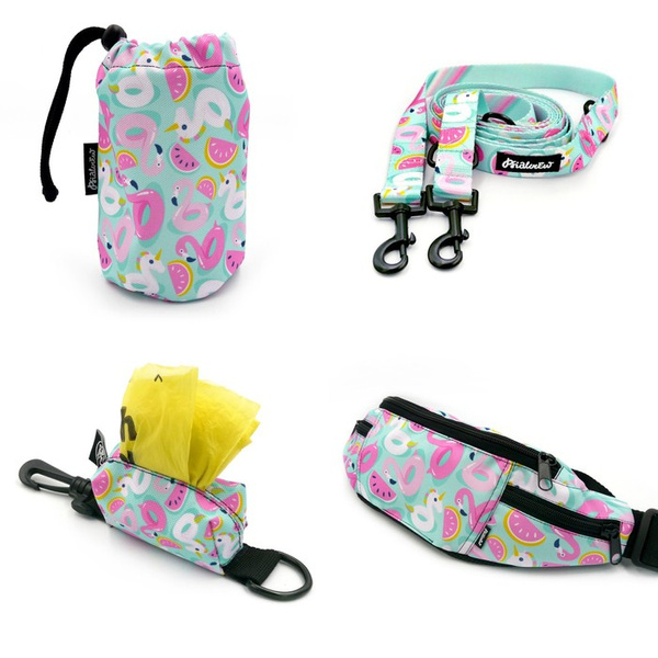 ACCESSORY KIT. Medium dog. Azure Pool Psiakrew Series; Collar, Harness, Leash, Sachet for dog treats