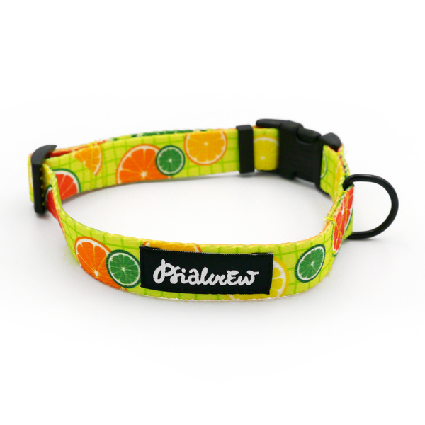 Dog Collar Lemonade Psiakrew, 2 cm 0.78" wide, for smaller dogs