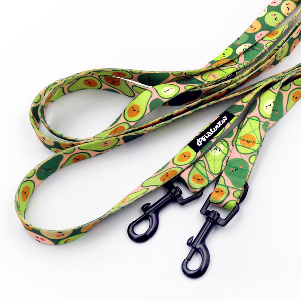 Hundeleine Guacamole Time Psiakrew Breite 2 cm, schwarzer Karabinerhaken 6 cm