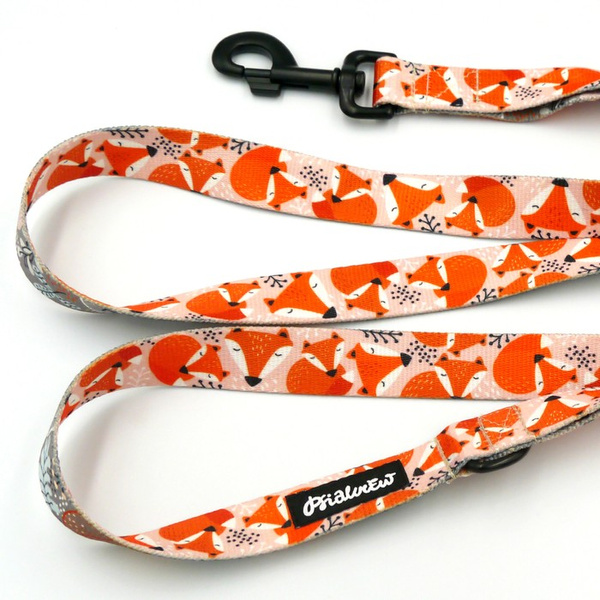 City Walking Leine für Dog Foxy Lady, Breite 2,5 cm, großer, starker schwarzer Karabiner