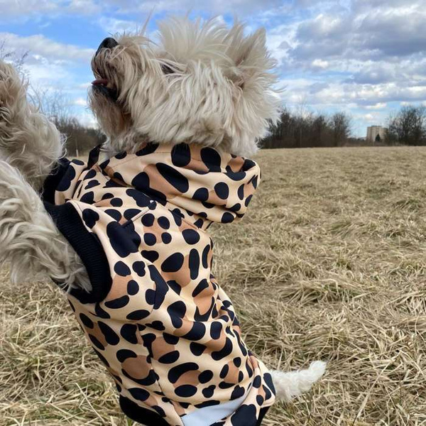Dog Hoodie Leopard Psiakrew
