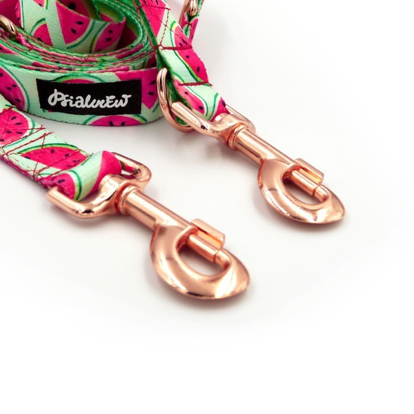 Lange Hundeleine abnehmbar verstellbar Watermelon Psiakrew Design Breite 2,5 cm, Karabiner roségold