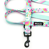 Dog Leash Azure Pool width 2.5 cm, 1"  wide, snap hook black 6cm
