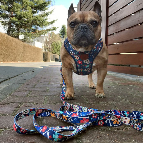 Dog Harness Día de los Muertos, Always Feeling Cool, Super Soft Psiakrew