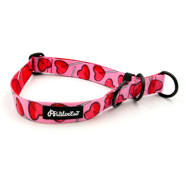 Halb-Klemmhalsband Lollipops Psiakrew, 2,5 cm breit, für mittelgroße und größere Hunde, Schwarz-Beschläge