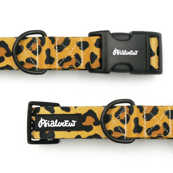 Dog Collar Psiakrew Tarzan 3 cm, 1.18" wide