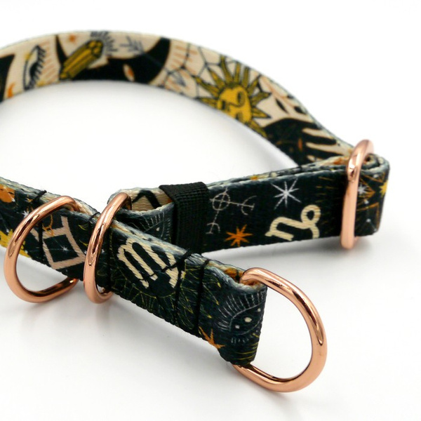 Half-choke collar Zodiac, 2 cm wide, for small dogs, golden extras