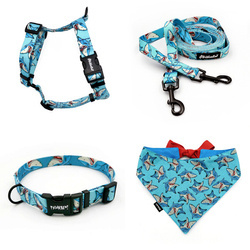 ZUBEHÖRSATZ für einen kleinen Hund Shark Psiakrew -Serie; Halsband, Geschirr, Leine, Bandana