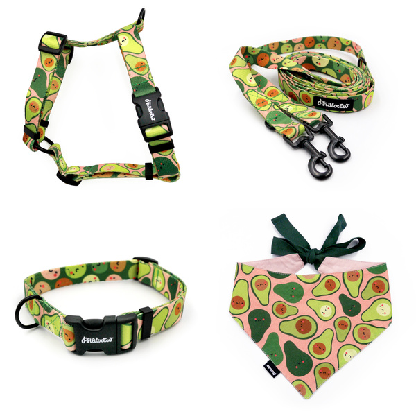 ZUBEHÖRSATZ für einen kleinen Hund Guacamole Time Psiakrew -Serie; Halsband, Geschirr, Leine, Bandana