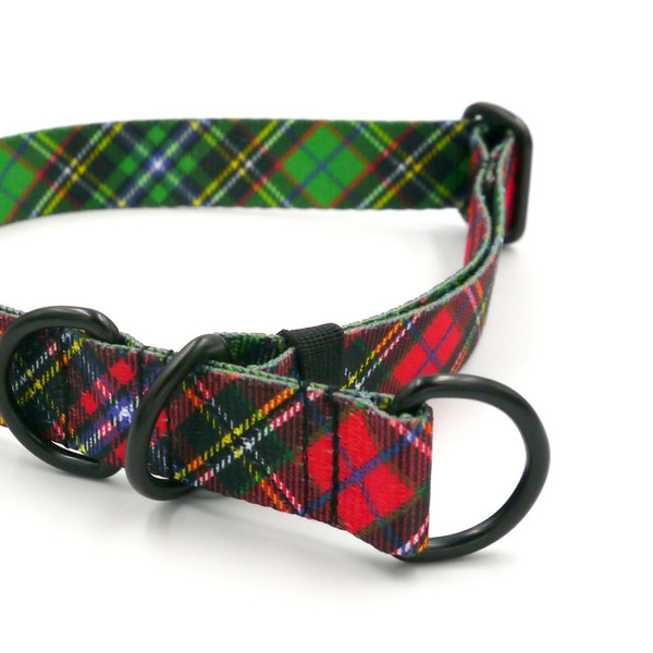 Halb-Klemmhalsband- Tartan Psiakrew , 2,5 cm breit, für mittelgroße und größere Hunde, Schwarz-Beschläge, Psiakrew