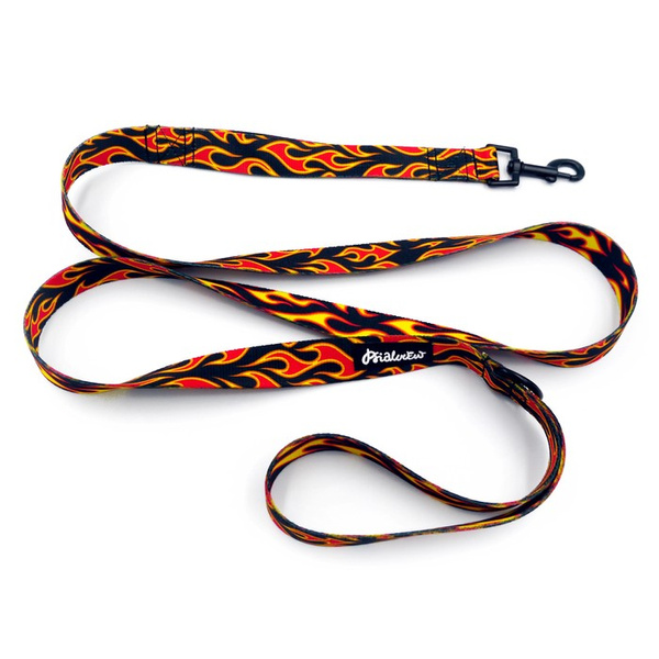 Hundeleine Dog On Fire Breite 2,5 cm, 1" breit, schwarzer Karabinerhaken 6 cm