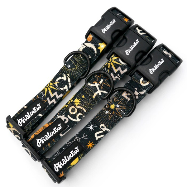 Dog Collar Psiakrew Zodiac 2.5 cm wide, black extras