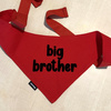 Bandana dla psa BIG BROTHER Psiakrew, personalizowana wiązana chusteczka, czerwona bandana apaszka 